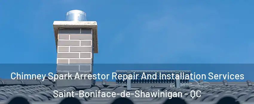  Chimney Spark Arrestor Repair And Installation Services Saint-Boniface-de-Shawinigan - QC