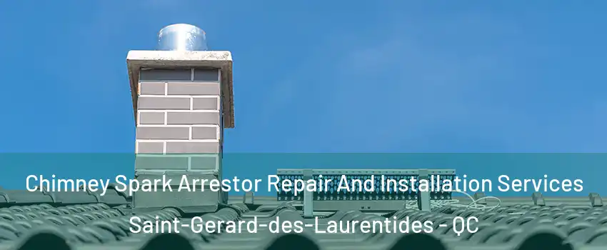  Chimney Spark Arrestor Repair And Installation Services Saint-Gerard-des-Laurentides - QC