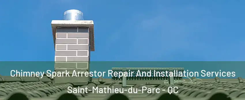  Chimney Spark Arrestor Repair And Installation Services Saint-Mathieu-du-Parc - QC