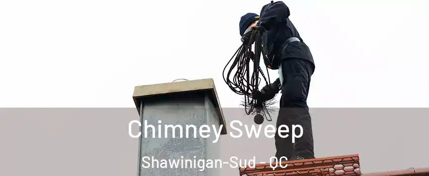  Chimney Sweep Shawinigan-Sud - QC