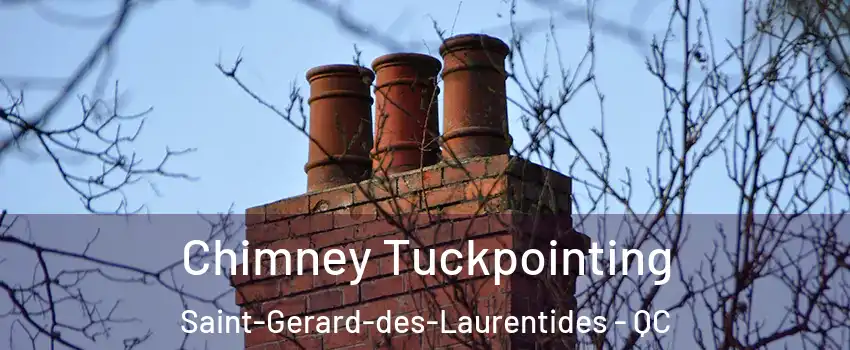 Chimney Tuckpointing Saint-Gerard-des-Laurentides - QC