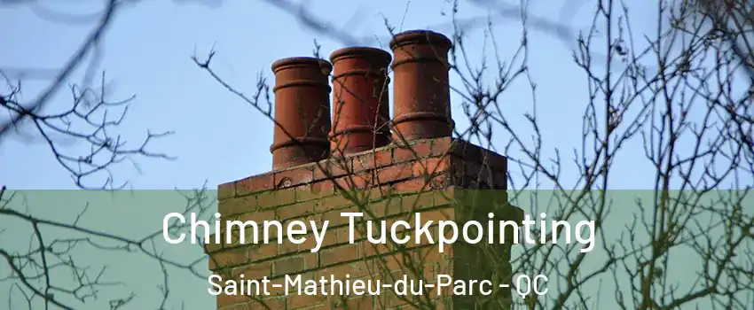  Chimney Tuckpointing Saint-Mathieu-du-Parc - QC