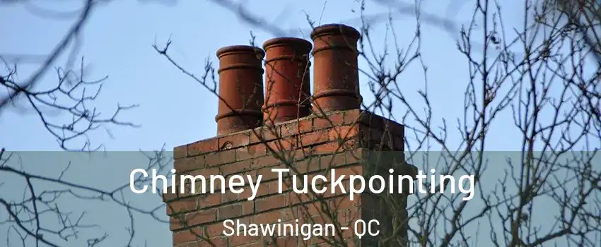  Chimney Tuckpointing Shawinigan - QC