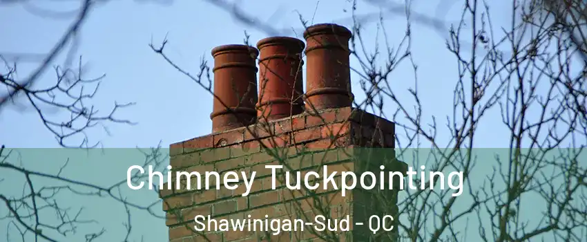  Chimney Tuckpointing Shawinigan-Sud - QC