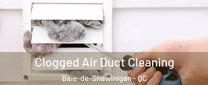  Clogged Air Duct Cleaning Baie-de-Shawinigan - QC