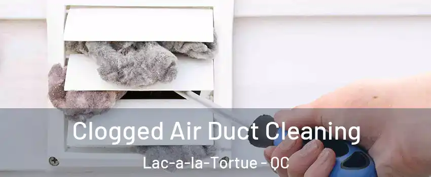  Clogged Air Duct Cleaning Lac-a-la-Tortue - QC