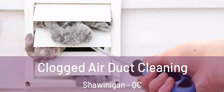  Clogged Air Duct Cleaning Shawinigan - QC