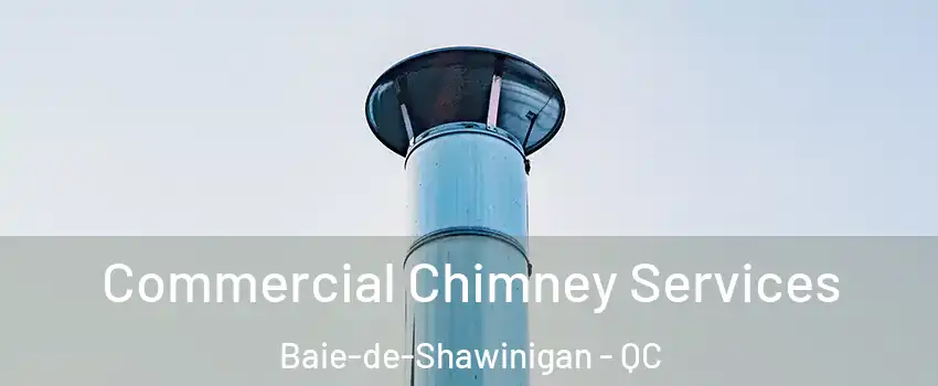  Commercial Chimney Services Baie-de-Shawinigan - QC