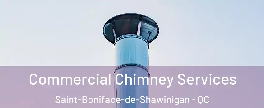  Commercial Chimney Services Saint-Boniface-de-Shawinigan - QC