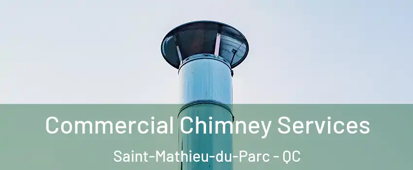  Commercial Chimney Services Saint-Mathieu-du-Parc - QC