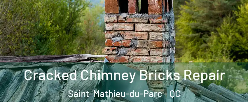  Cracked Chimney Bricks Repair Saint-Mathieu-du-Parc - QC