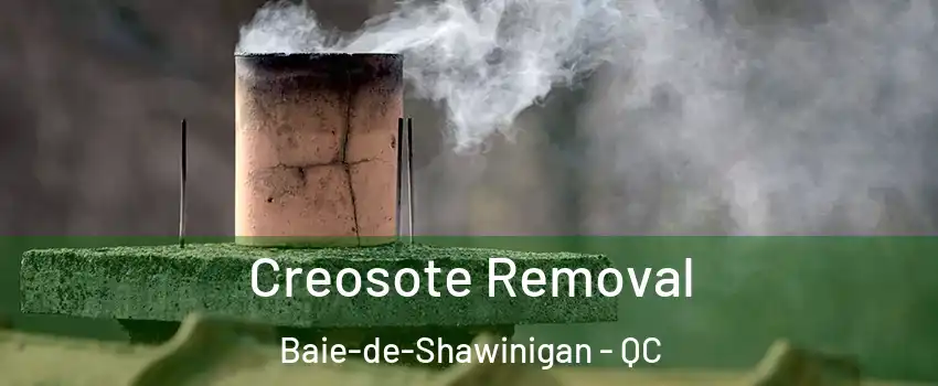  Creosote Removal Baie-de-Shawinigan - QC