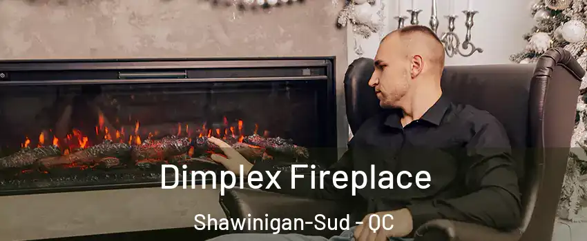  Dimplex Fireplace Shawinigan-Sud - QC