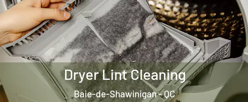  Dryer Lint Cleaning Baie-de-Shawinigan - QC