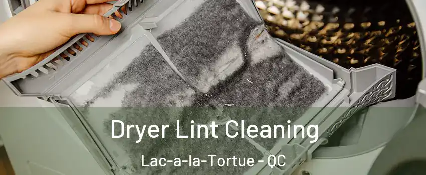  Dryer Lint Cleaning Lac-a-la-Tortue - QC