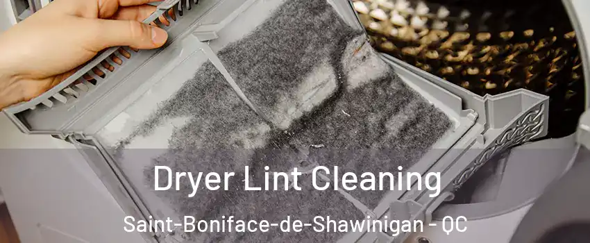  Dryer Lint Cleaning Saint-Boniface-de-Shawinigan - QC