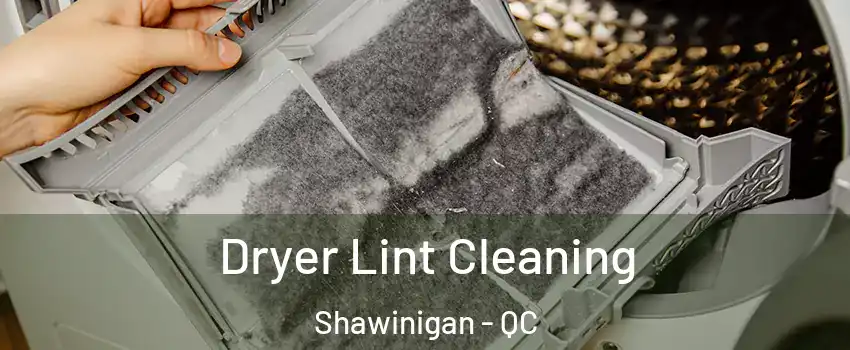  Dryer Lint Cleaning Shawinigan - QC