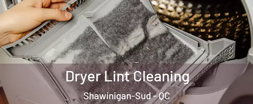  Dryer Lint Cleaning Shawinigan-Sud - QC
