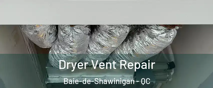  Dryer Vent Repair Baie-de-Shawinigan - QC