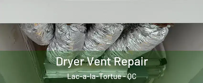  Dryer Vent Repair Lac-a-la-Tortue - QC