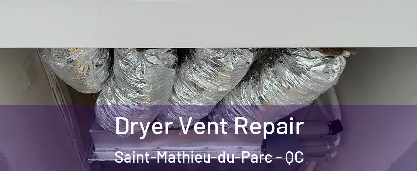  Dryer Vent Repair Saint-Mathieu-du-Parc - QC