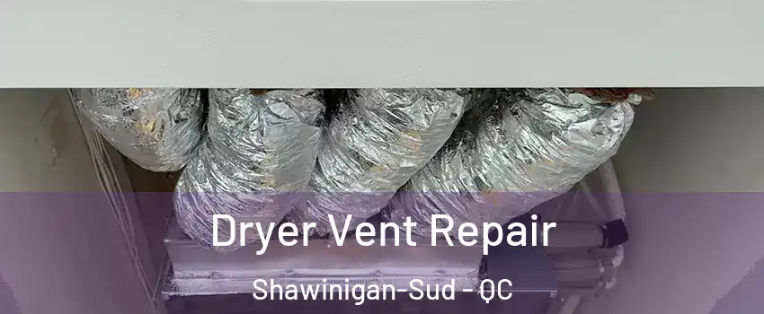  Dryer Vent Repair Shawinigan-Sud - QC