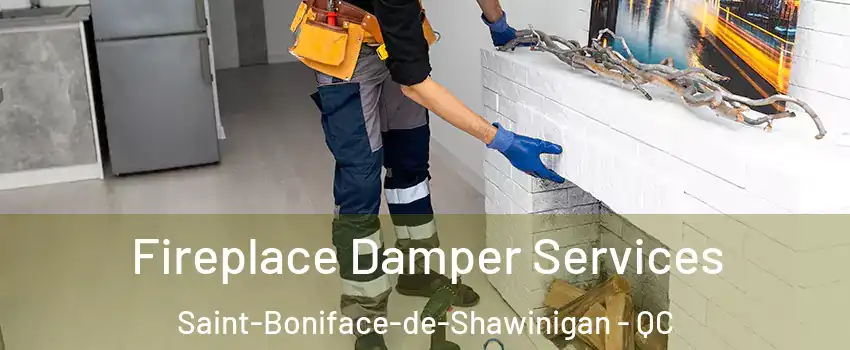  Fireplace Damper Services Saint-Boniface-de-Shawinigan - QC