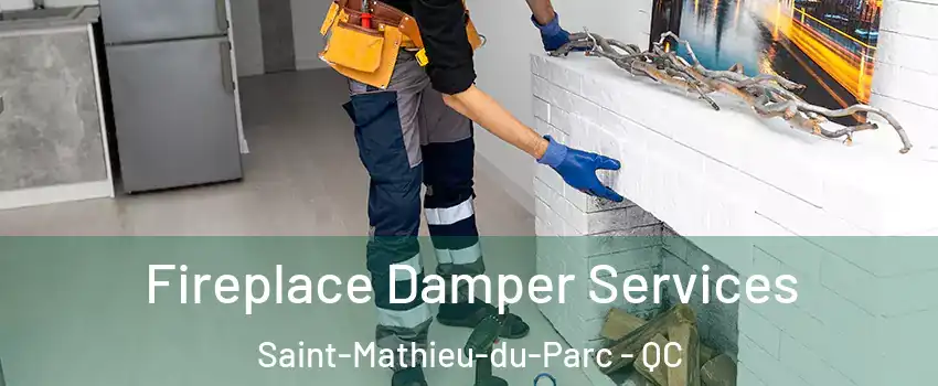  Fireplace Damper Services Saint-Mathieu-du-Parc - QC