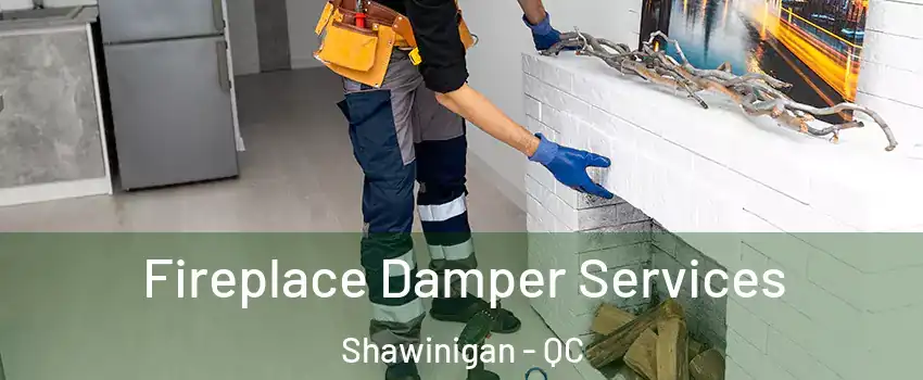  Fireplace Damper Services Shawinigan - QC