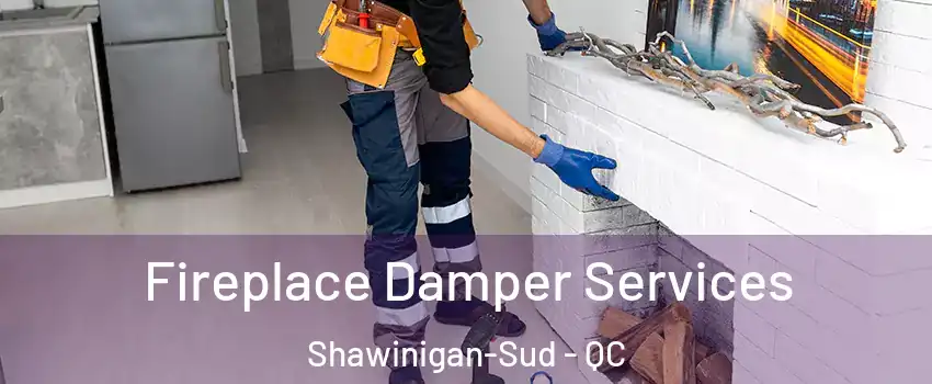 Fireplace Damper Services Shawinigan-Sud - QC