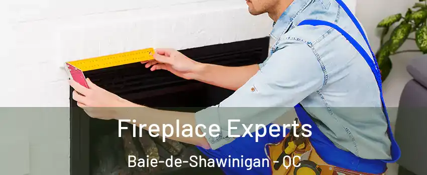  Fireplace Experts Baie-de-Shawinigan - QC