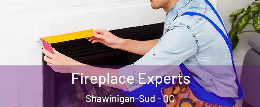  Fireplace Experts Shawinigan-Sud - QC