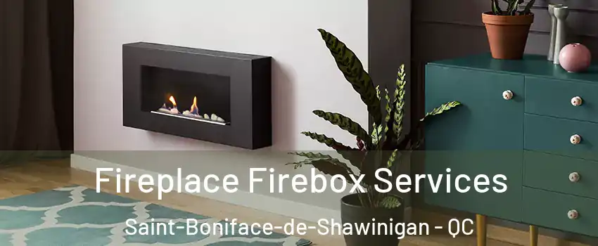  Fireplace Firebox Services Saint-Boniface-de-Shawinigan - QC