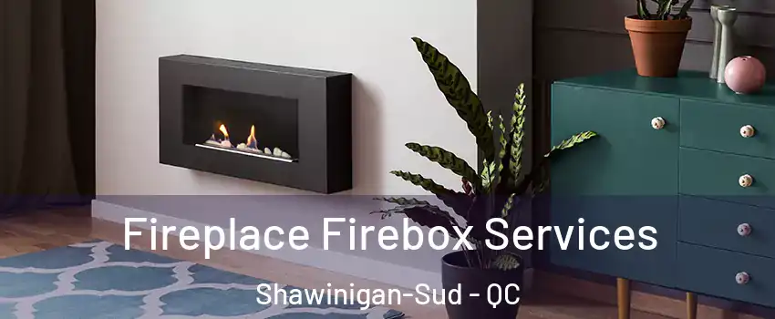  Fireplace Firebox Services Shawinigan-Sud - QC