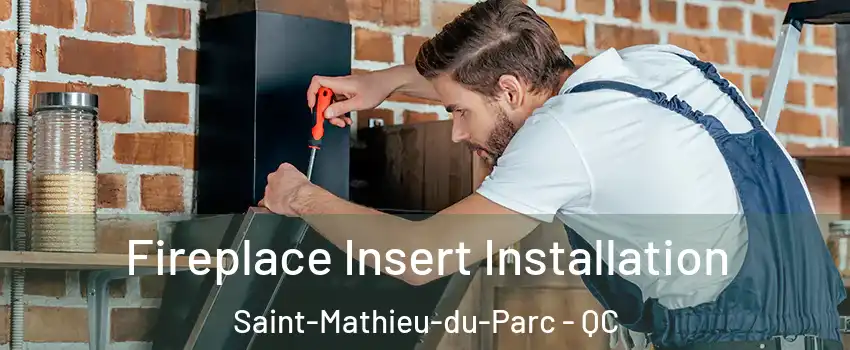  Fireplace Insert Installation Saint-Mathieu-du-Parc - QC
