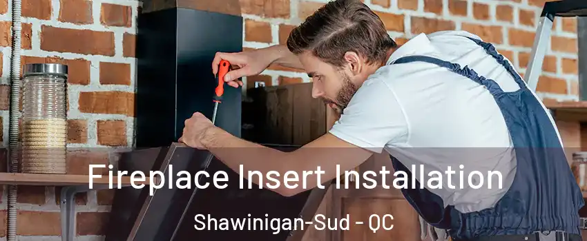  Fireplace Insert Installation Shawinigan-Sud - QC