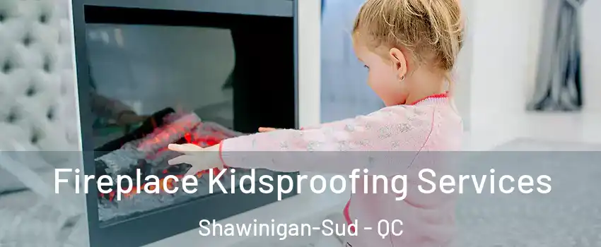  Fireplace Kidsproofing Services Shawinigan-Sud - QC