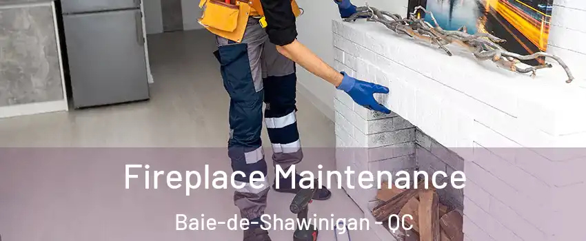  Fireplace Maintenance Baie-de-Shawinigan - QC