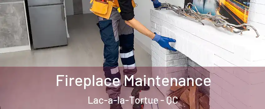  Fireplace Maintenance Lac-a-la-Tortue - QC