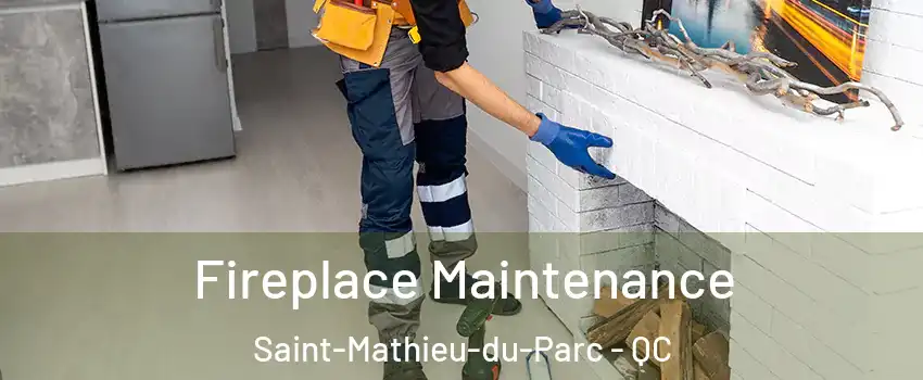  Fireplace Maintenance Saint-Mathieu-du-Parc - QC