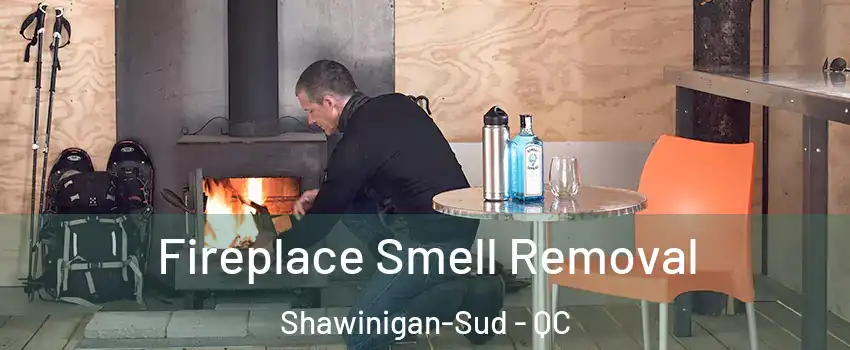  Fireplace Smell Removal Shawinigan-Sud - QC