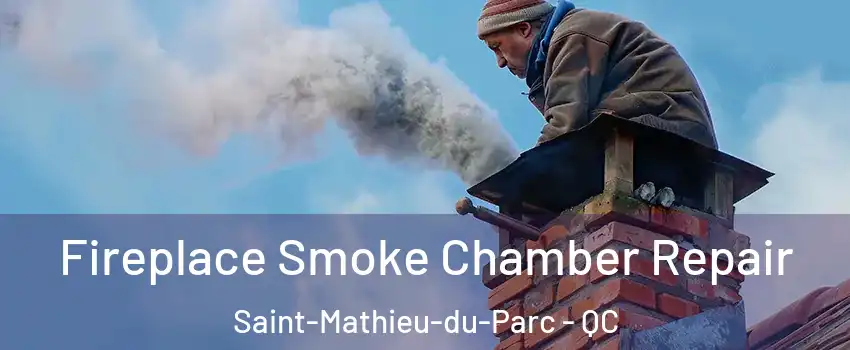  Fireplace Smoke Chamber Repair Saint-Mathieu-du-Parc - QC