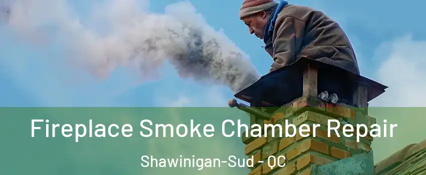  Fireplace Smoke Chamber Repair Shawinigan-Sud - QC
