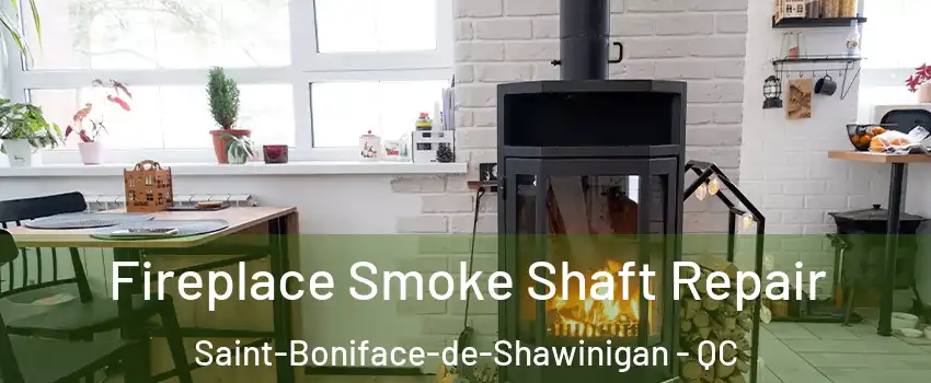  Fireplace Smoke Shaft Repair Saint-Boniface-de-Shawinigan - QC