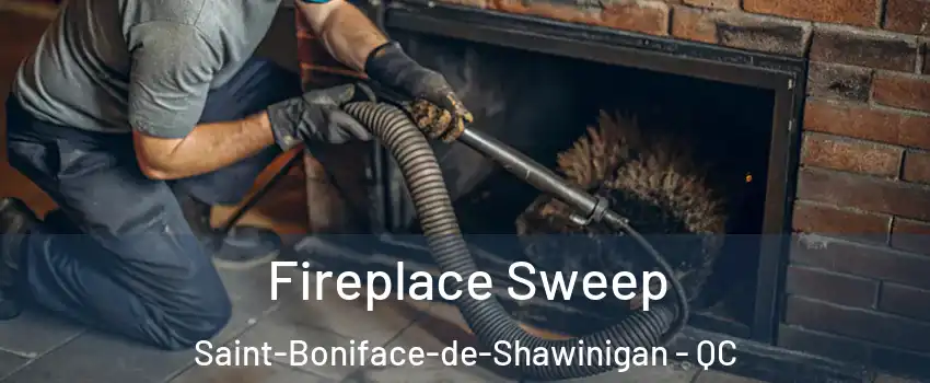  Fireplace Sweep Saint-Boniface-de-Shawinigan - QC