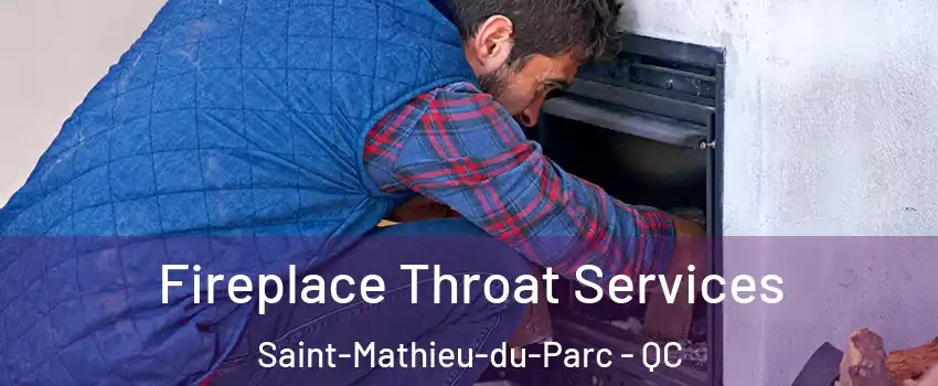  Fireplace Throat Services Saint-Mathieu-du-Parc - QC