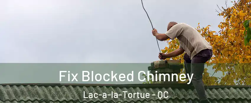  Fix Blocked Chimney Lac-a-la-Tortue - QC