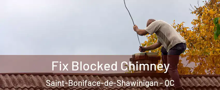  Fix Blocked Chimney Saint-Boniface-de-Shawinigan - QC