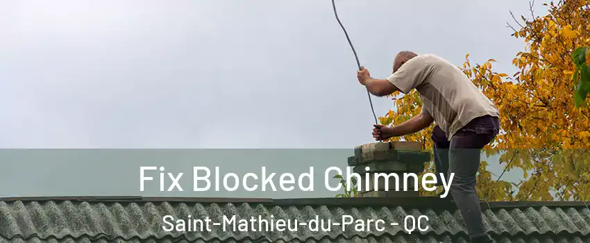  Fix Blocked Chimney Saint-Mathieu-du-Parc - QC