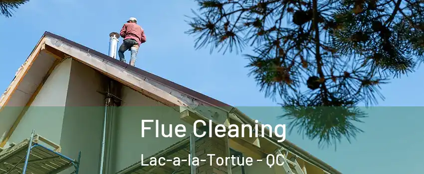  Flue Cleaning Lac-a-la-Tortue - QC
